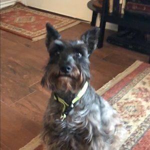 Meet your Posher, Sheila